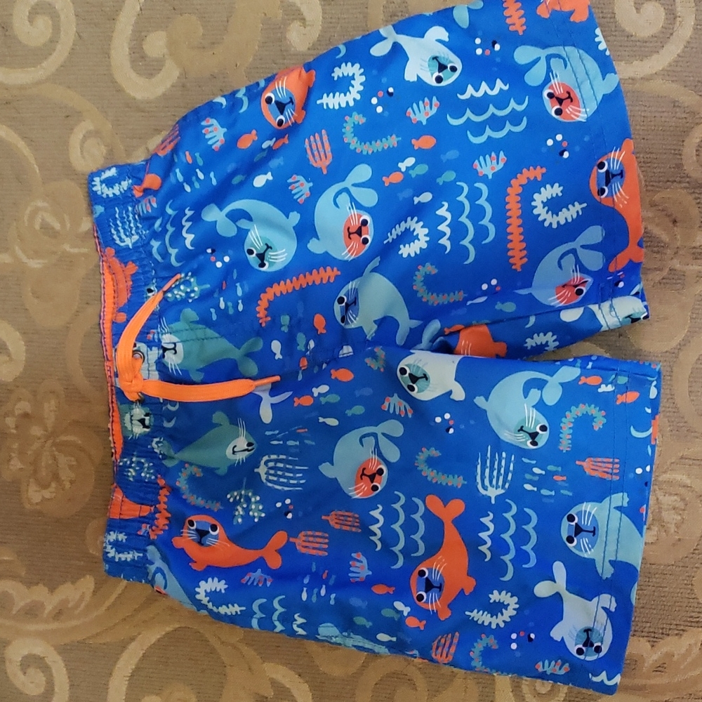 Boys swimming trunks